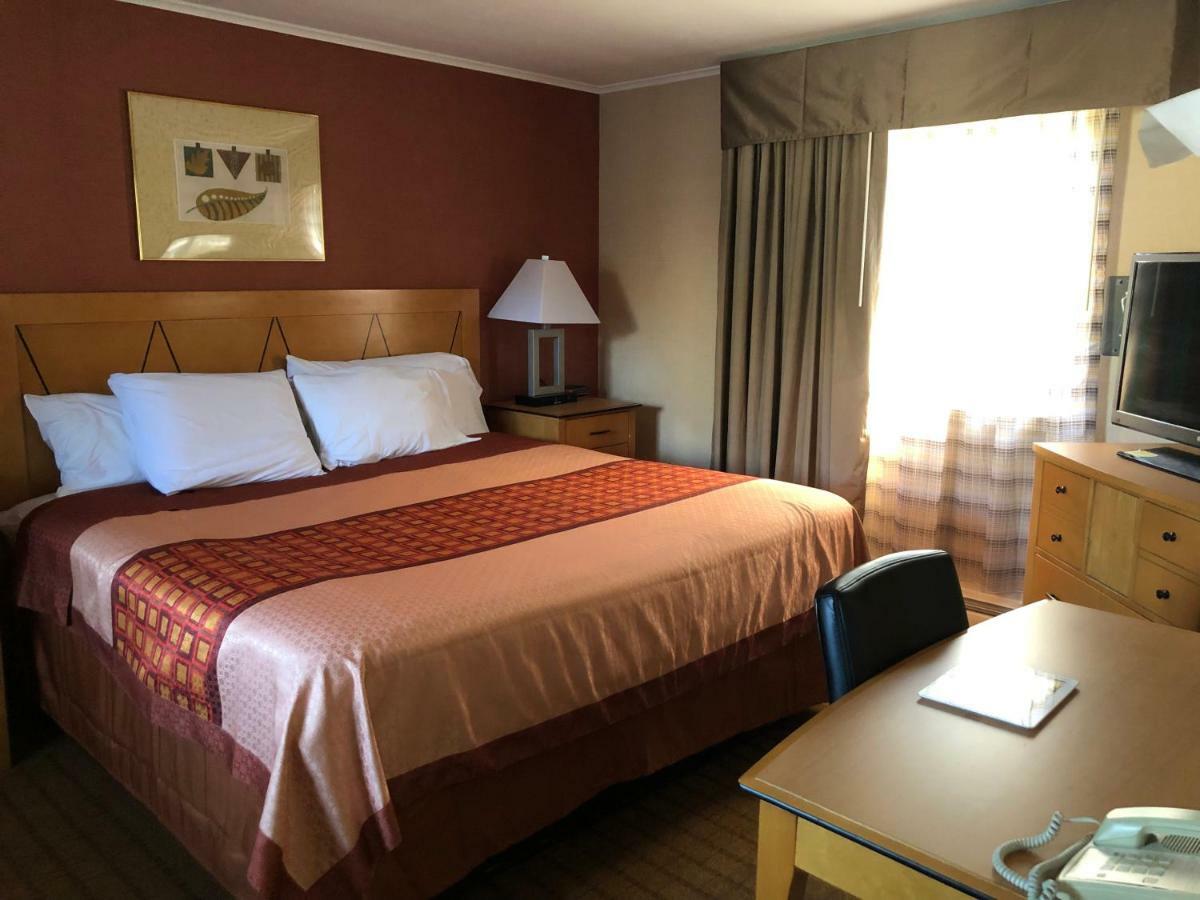Wilbraham Inn Ludlow Zewnętrze zdjęcie